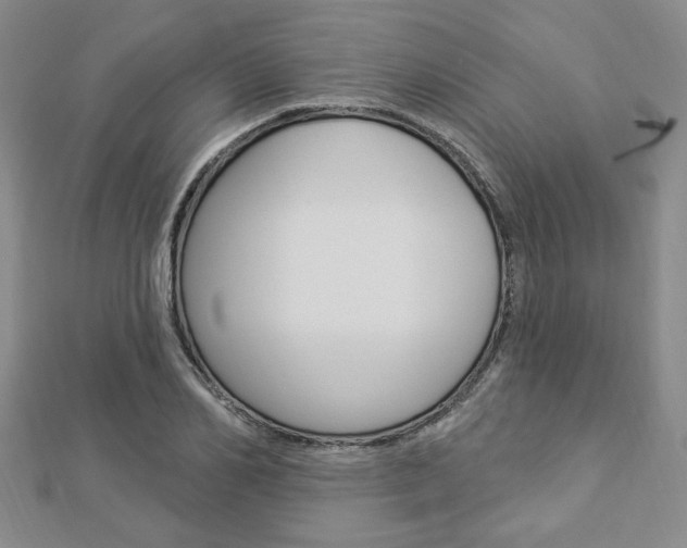 X0000112910982200908241004