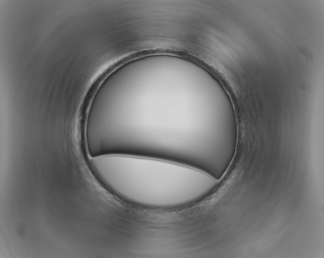 X0000112910983200908241004