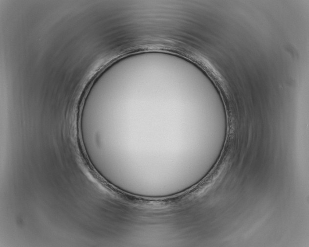 X0000112910986200908241003