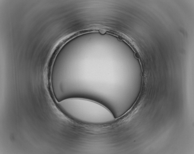 X0000112910987200908241003