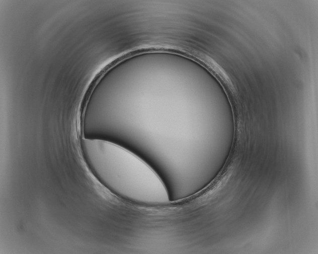 X0000112910988200908241003