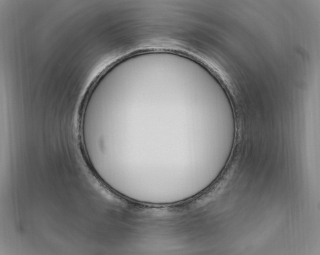 X0000112910990200908241003