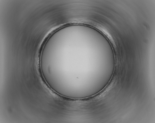 X0000112910992200908241003