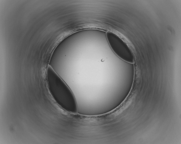 X0000112910993200908241003
