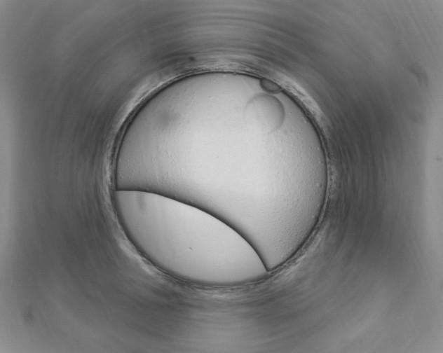 X0000112910994200908241003