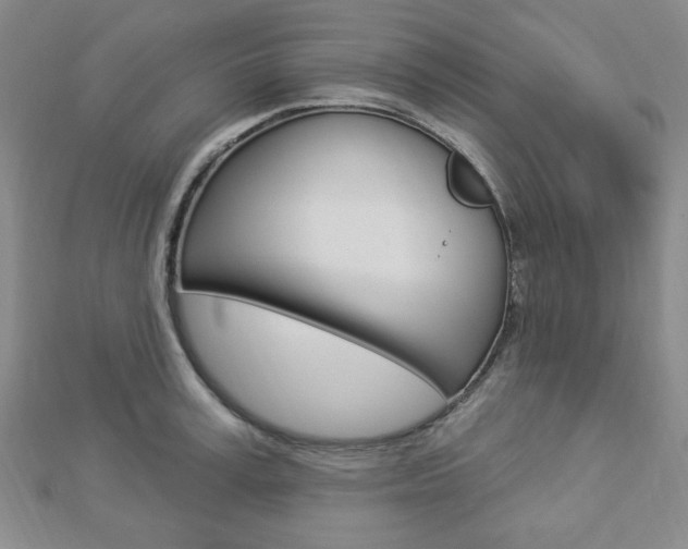 X0000112910995200908241003