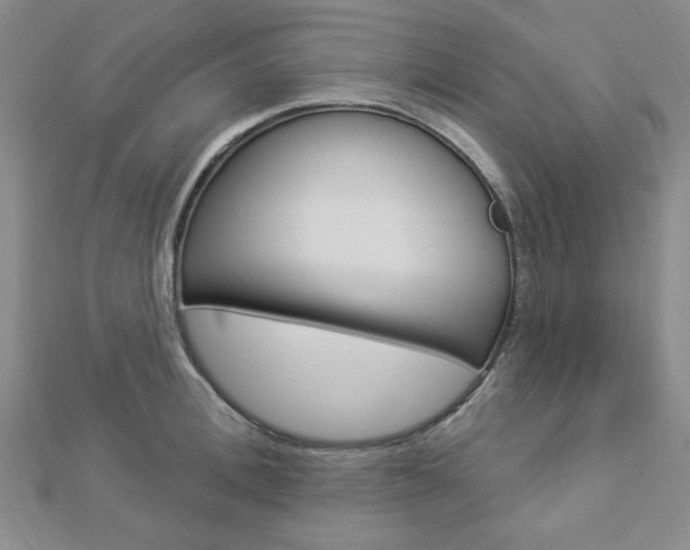 X0000112910996200908241003