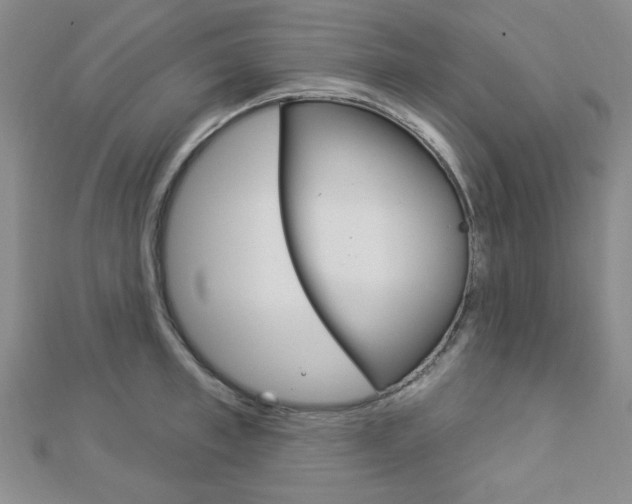 X0000112910997200908241003
