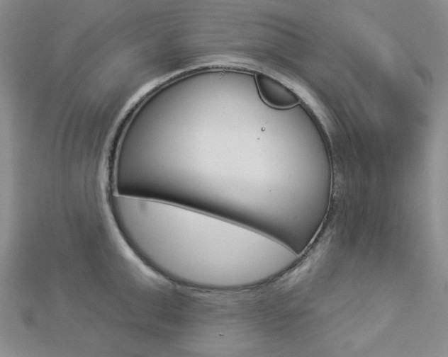 X0000112910999200908241003