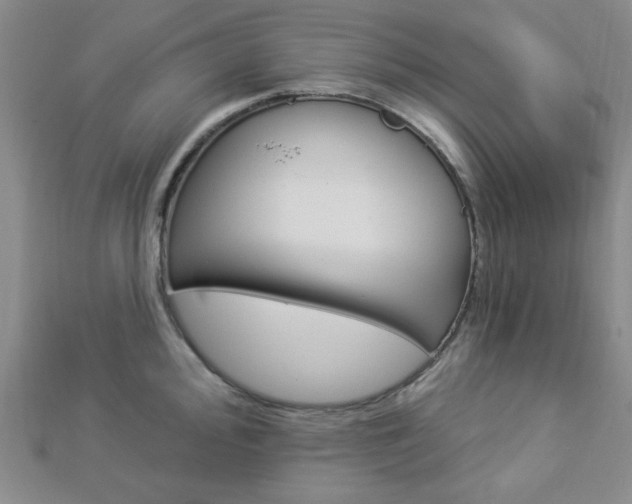 X0000112911000200908241003