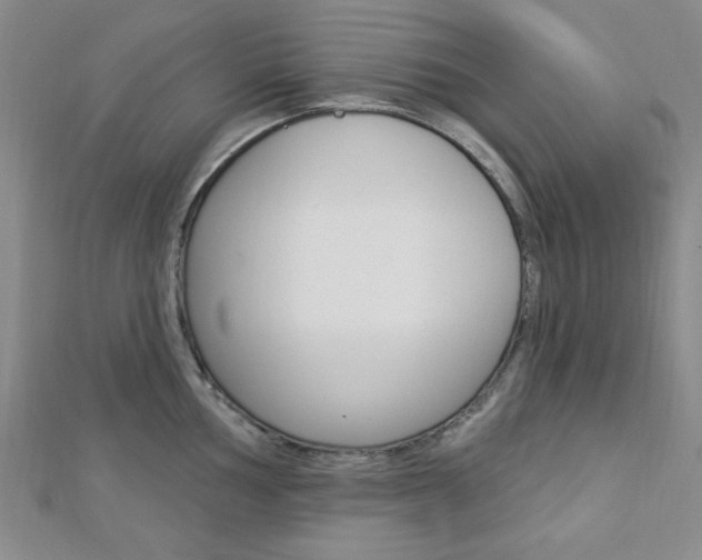 X0000112911002200908241003