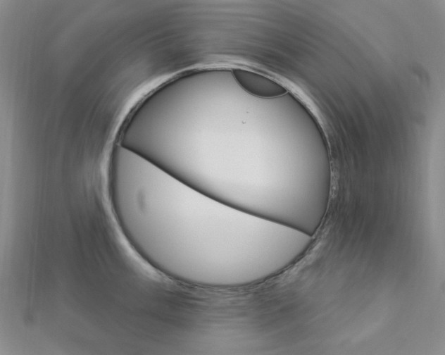 X0000112911003200908241003