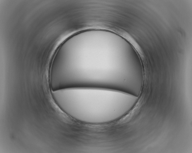 X0000112911004200908241003