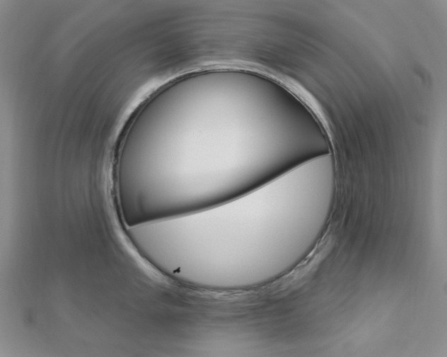 X0000112911005200908241003