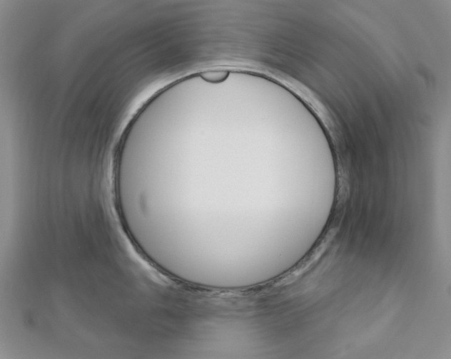 X0000112911006200908241003