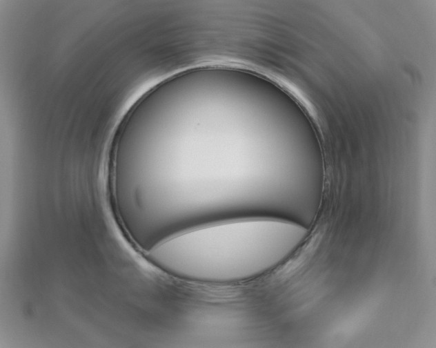 X0000112911007200908241003