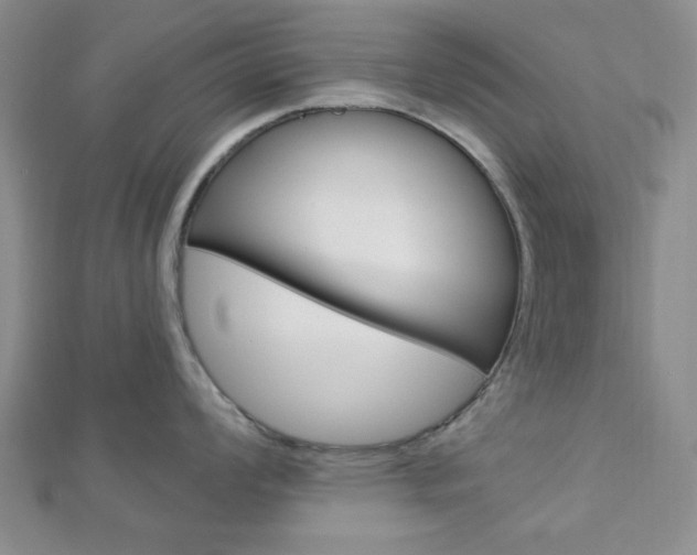 X0000112911008200908241003