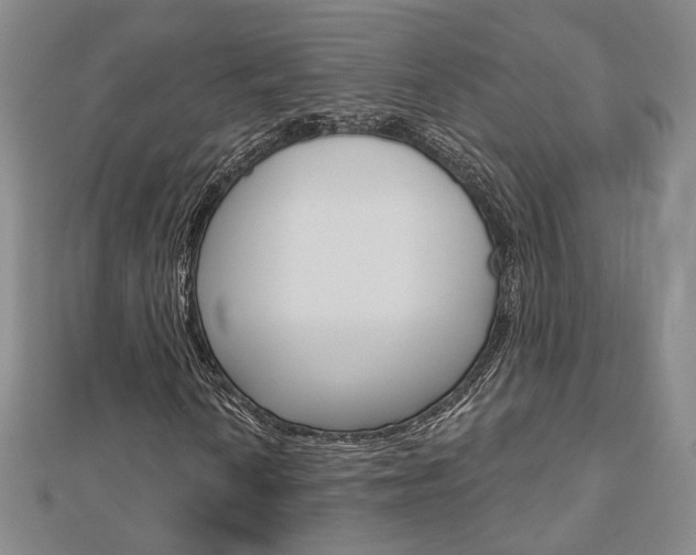 X0000112911010200908241003