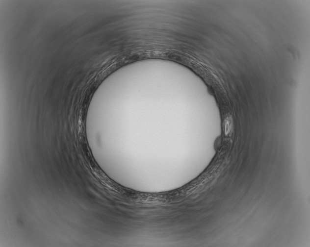 X0000112911011200908241003
