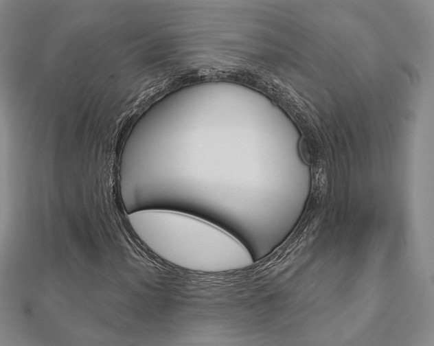 X0000112911012200908241003