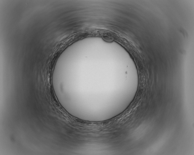 X0000112911013200908241003