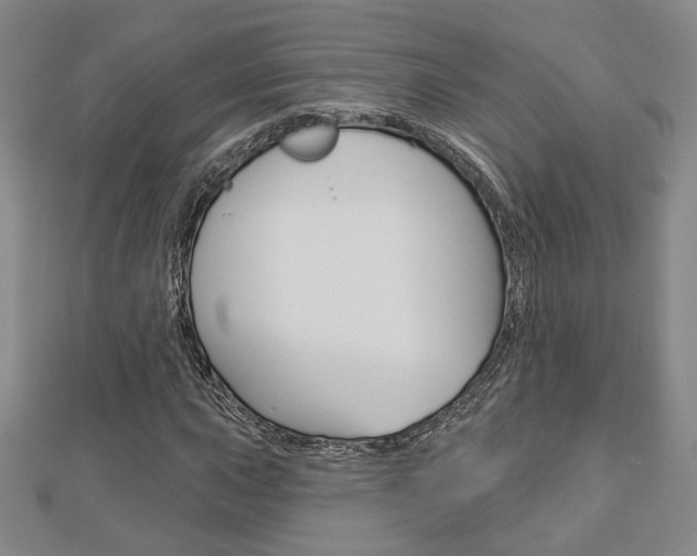 X0000112911015200908241003