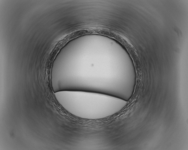 X0000112911016200908241003