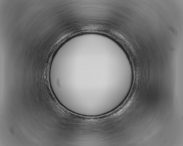 X0000112911017200908241003