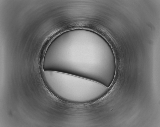 X0000112911018200908241003