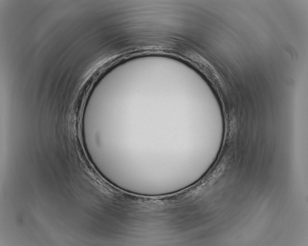 X0000112911019200908241003