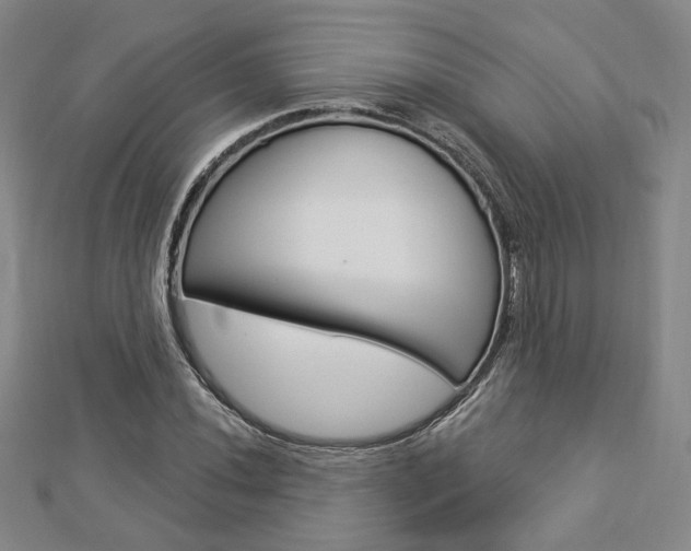 X0000112911020200908241003