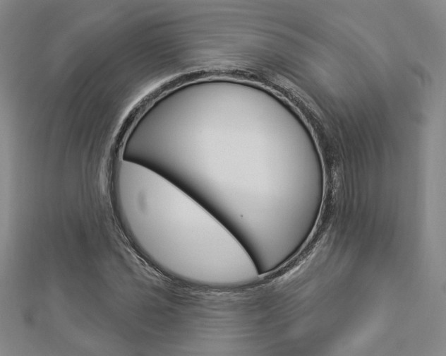 X0000112911021200908241003