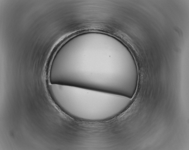 X0000112911024200908241003