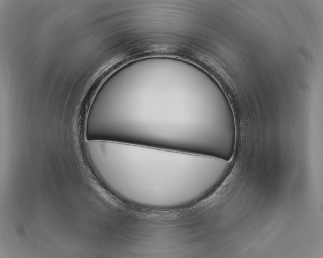 X0000112911026200908241003