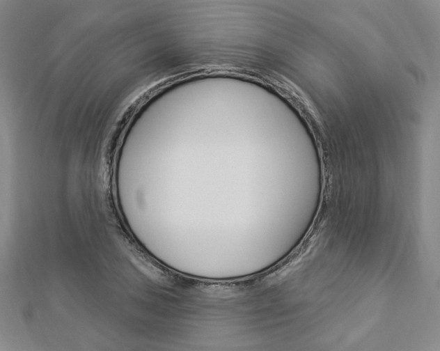 X0000112911027200908241003