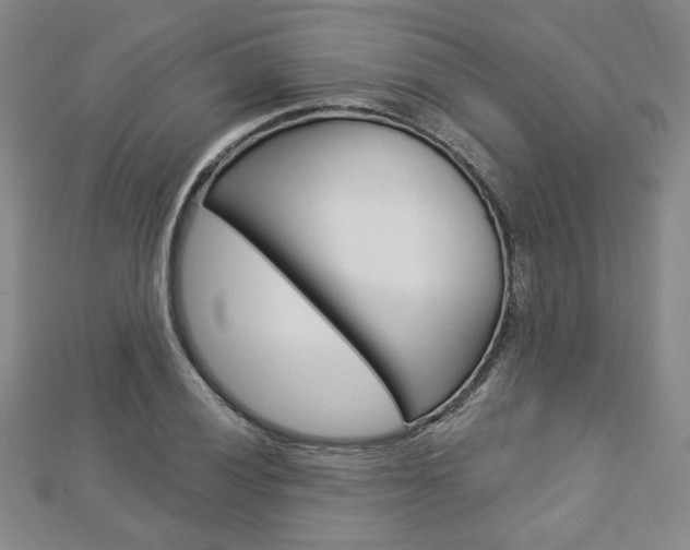 X0000112911028200908241003