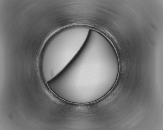 X0000112911029200908241003