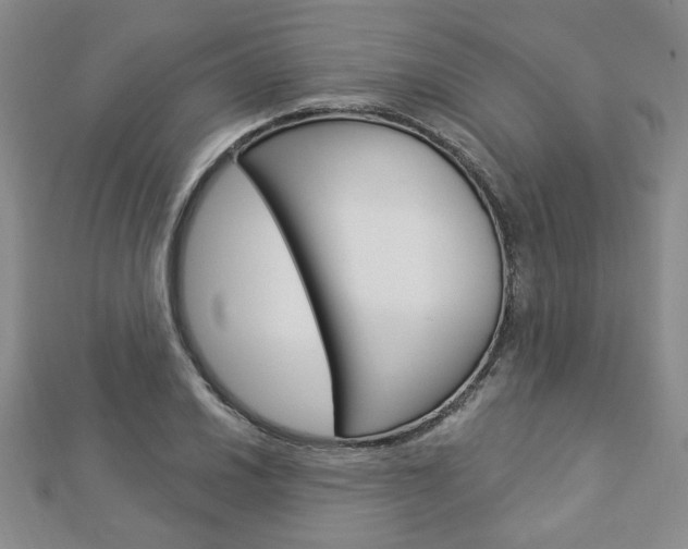 X0000112911030200908241003
