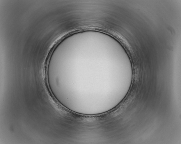 X0000112911031200908241003
