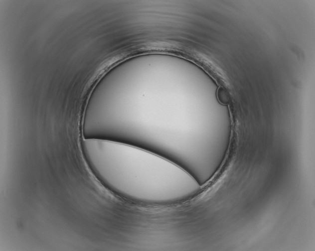 X0000112911033200908241003