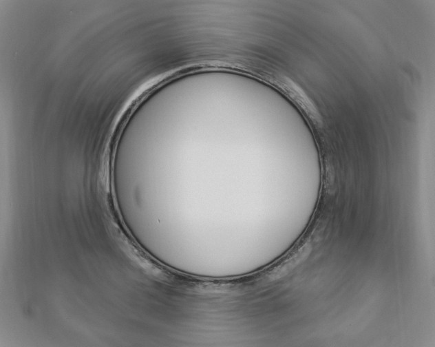 X0000112911036200908241003