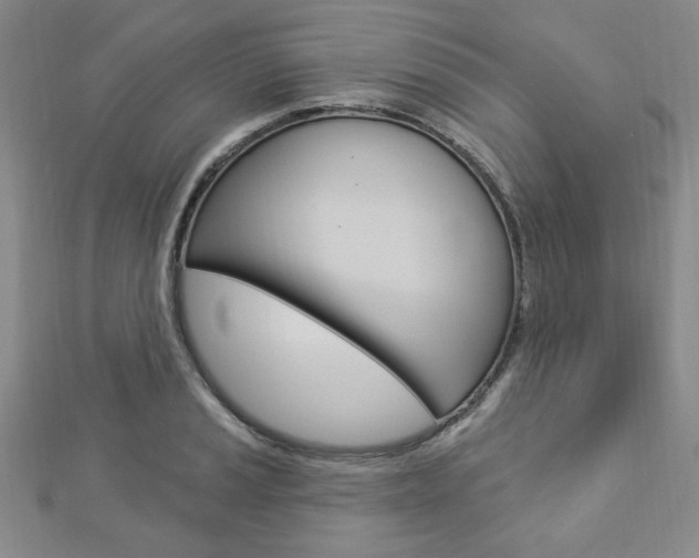 X0000112911037200908241003