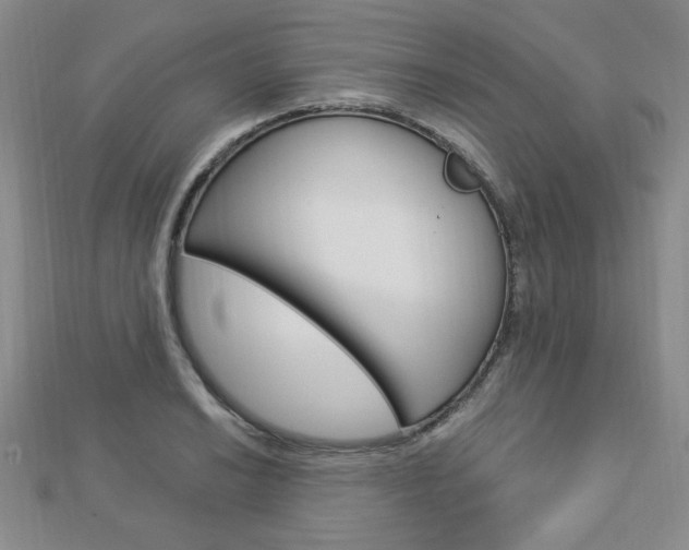 X0000112911038200908241003