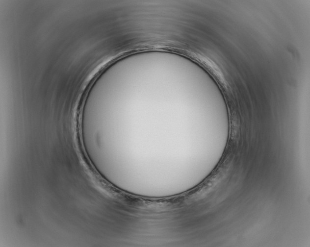 X0000112911039200908241003