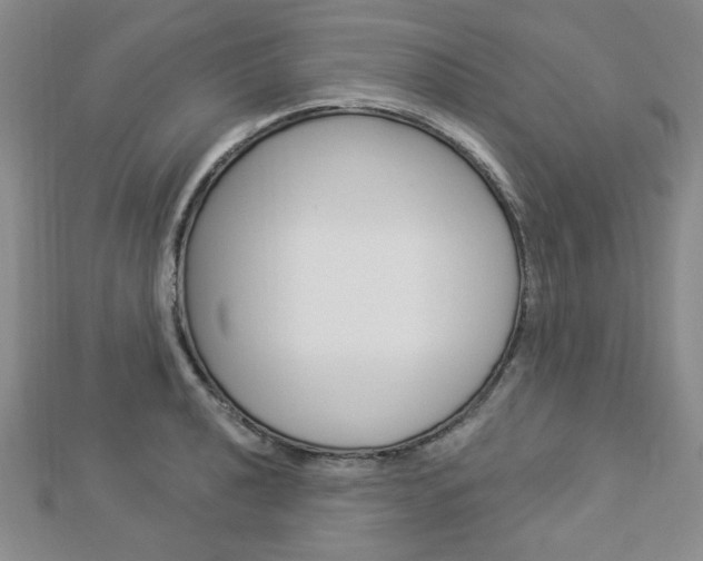 X0000112911040200908241003
