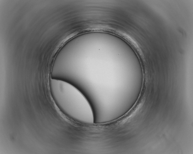 X0000112911041200908241003