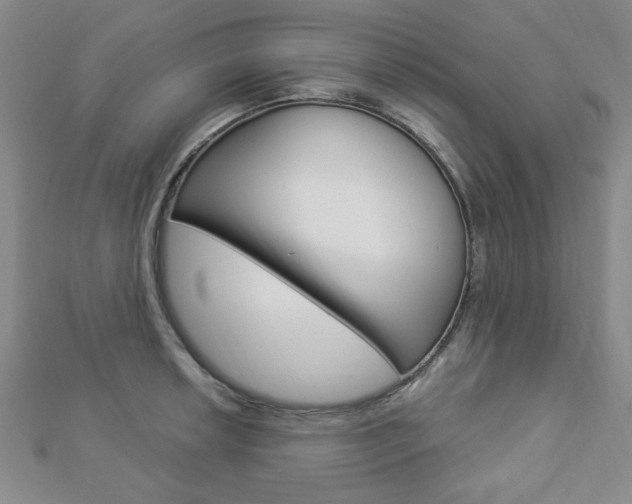 X0000112911042200908241003