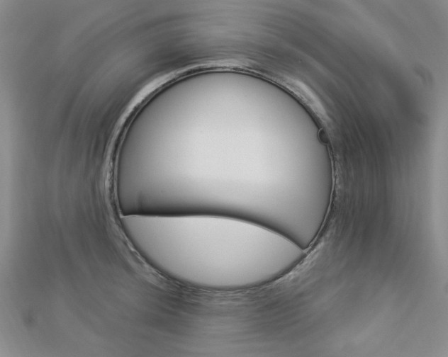 X0000112911044200908241003