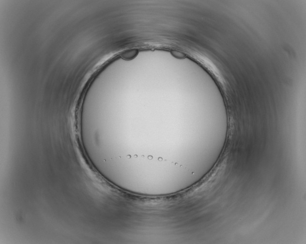 X0000112911047200908241003