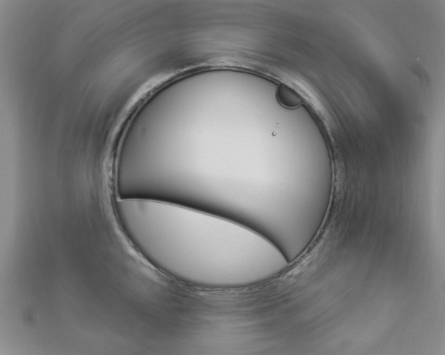 X0000112911048200908241003